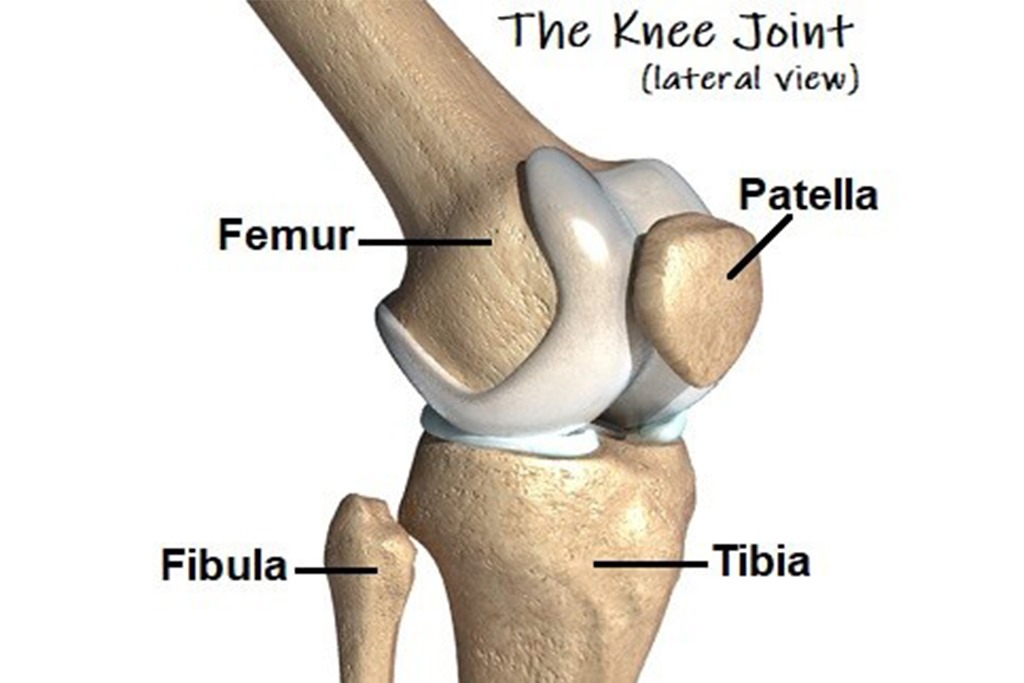 Knee Arthritis I Arthritis Of The Knee