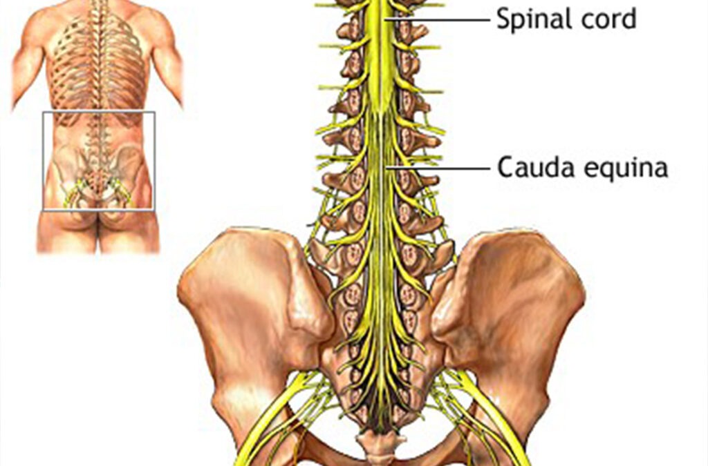 When is it not ‘just’ back pain, but actually a serious back injury?