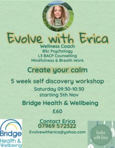 Poster with information on Evolve With Erica self-discovery workshop to create your calm at Bridge health and Wellbeing, Christchurch
