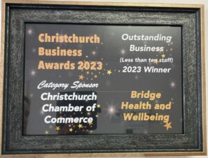 Christchurch Business Awards 2023 winners certificate